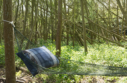 woodland life